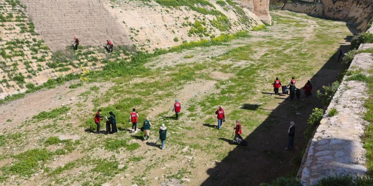 Halep Kalesi’nde temizlik ve bakım çalışması