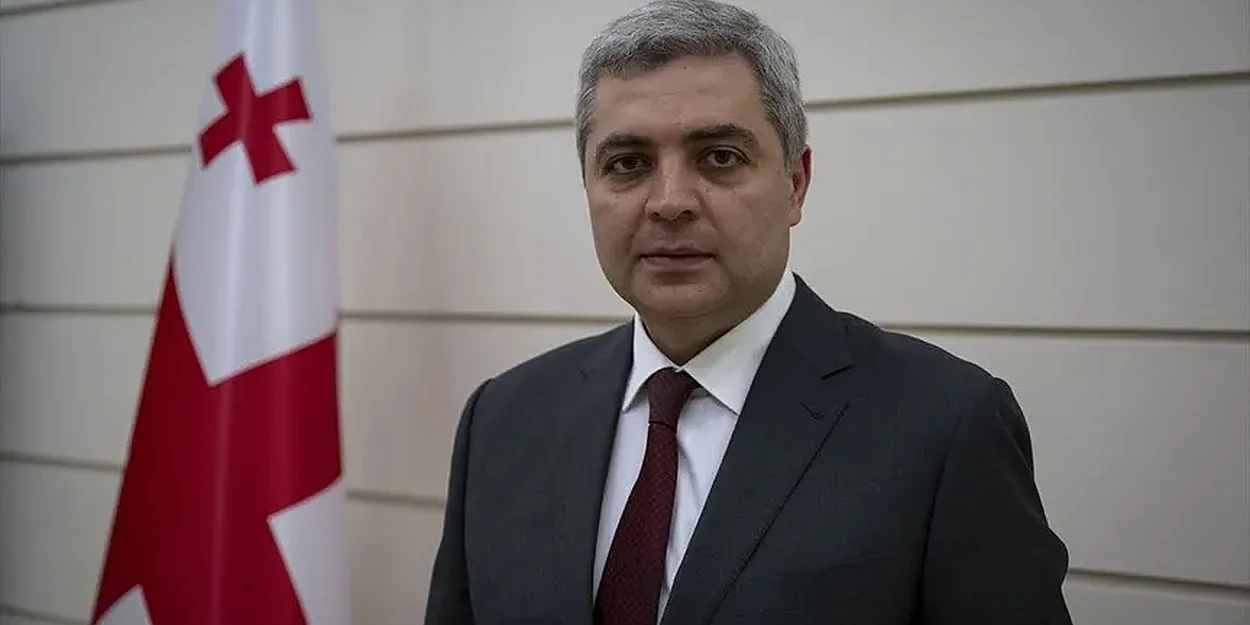 Gürcistan Büyükelçisi: Barış konusunda Türkiye ile ortak noktalarımız var