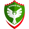 Amed SK